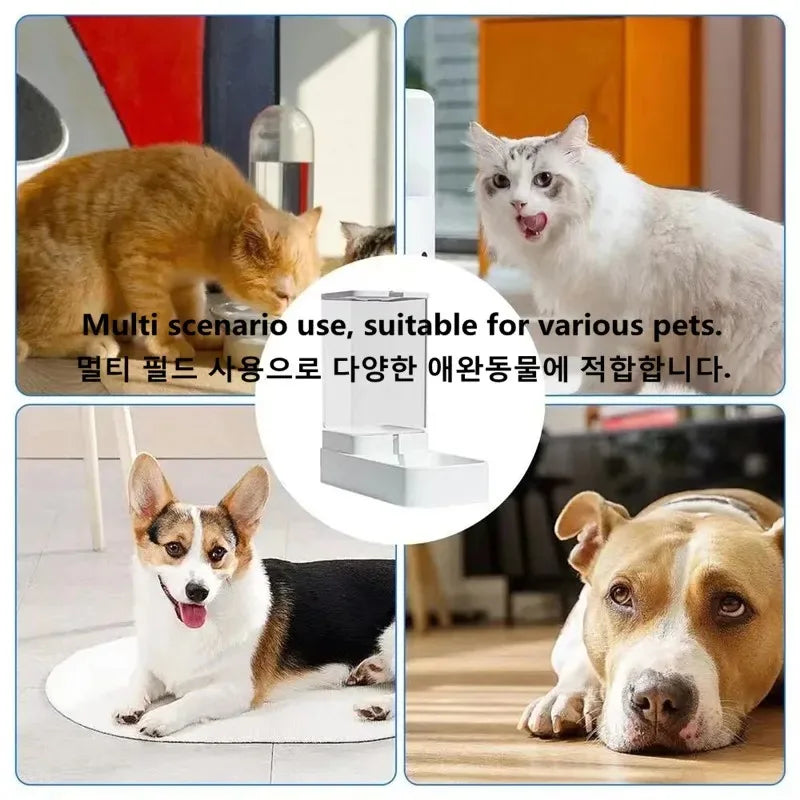 Transparent automatic tilting water bowl, large-capacity food storage container, pet supplies (suitable for cats and dogs)