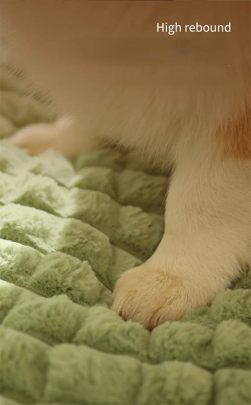 Winter Warm Dog Mat Luxury Sofa for Small Medium Dogs Plaid Bed for Cats Dogs Fluff Sleeping Removable Washable Pet Beds